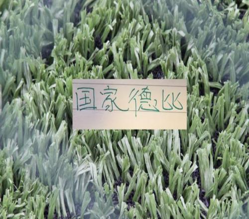 推荐,周日,意甲比萨对,乐动体育,在线体育博彩,体育娱乐,赛事投注,体育直播,乐动体育平台,体育投注技巧