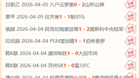 印尼超赛事分析：专家推荐，期号质合分析前区十码比分解析